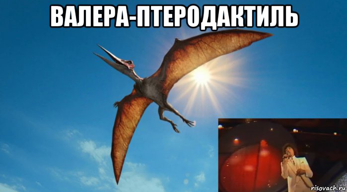 валера-птеродактиль , Мем Валера