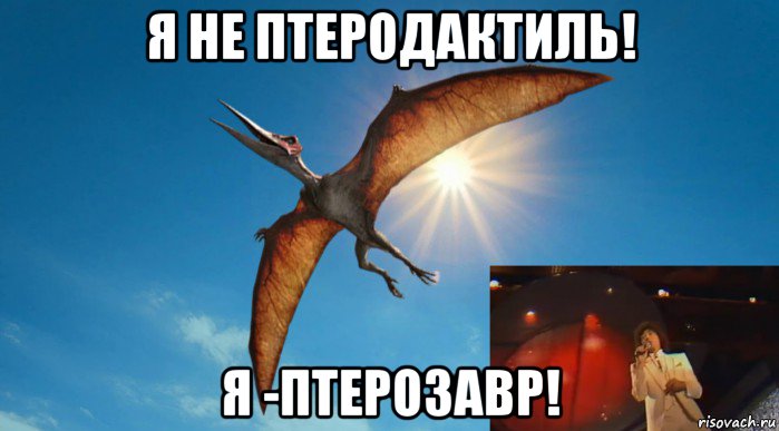 я не птеродактиль! я -птерозавр!, Мем Валера