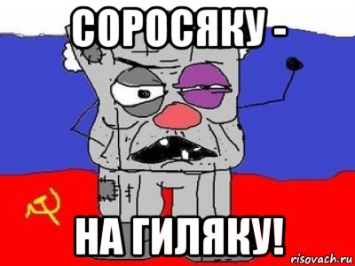 соросяку - на гиляку!, Мем ватник