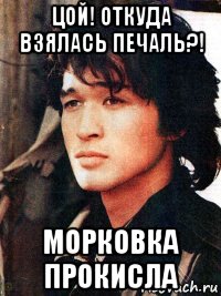 цой! откуда взялась печаль?! морковка прокисла