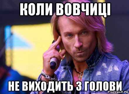 коли вовчиці не виходить з голови