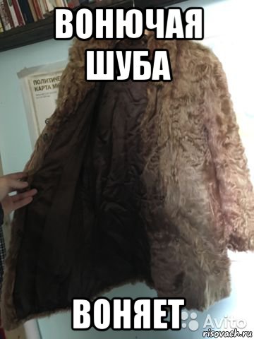 вонючая шуба воняет, Мем Вонючая шуба