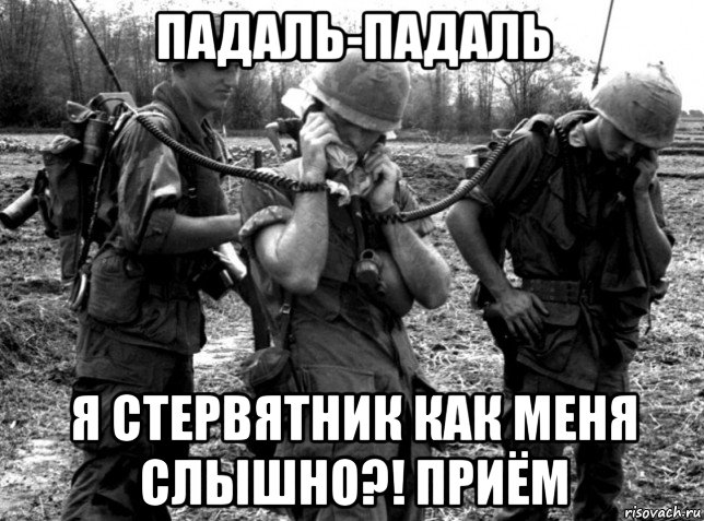 падаль-падаль я стервятник как меня слышно?! приём, Мем Война во Вьетнаме