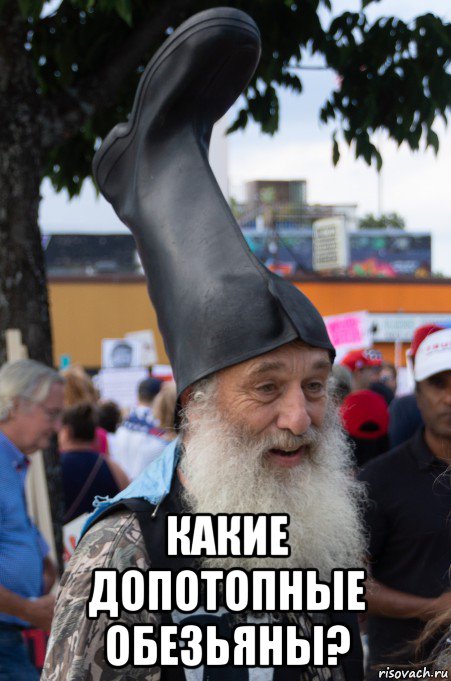  какие допотопные обезьяны?, Мем Вёрмин Суприм