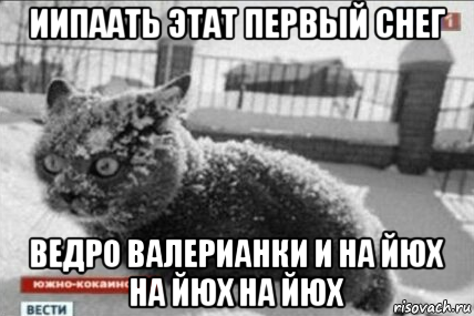 иипаать этат первый снег ведро валерианки и на йюх на йюх на йюх, Мем Южнококаинск