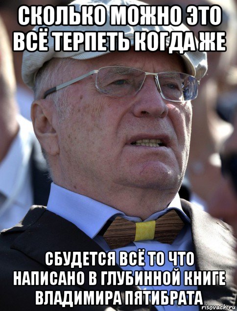 сколько можно это всё терпеть когда же сбудется всё то что написано в глубинной книге владимира пятибрата, Мем Жирик