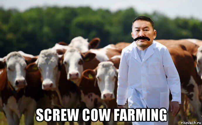  screw cow farming, Мем Злой Халтмаагийн Баттулга и коровы