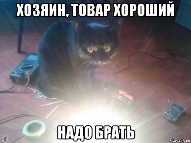 хозяин, товар хороший надо брать, Мем Злой кот