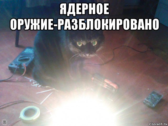 ядерное оружие-разблокировано , Мем Злой кот