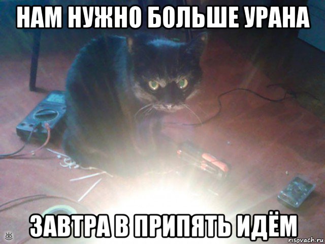 нам нужно больше урана завтра в припять идём, Мем Злой кот