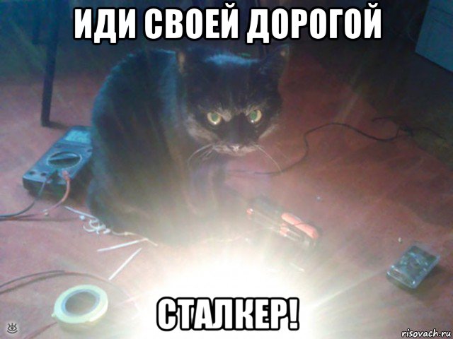 иди своей дорогой сталкер!, Мем Злой кот
