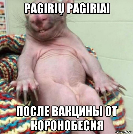 pagirių pagiriai после вакцины от коронобесия, Мем Зверь