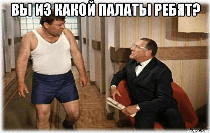 вы из какой палаты ребят? , Мем А что кони сосут