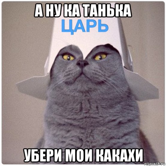 а ну ка танька убери мои какахи