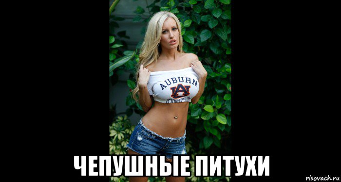  чепушные питухи, Мем Alabama