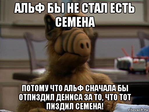 альф бы не стал есть семена потому что альф сначала бы отпиздил дениса за то, что тот пиздил семена!