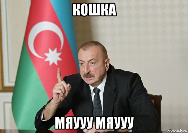 кошка мяууу мяууу, Мем Алиев повелитель планеты