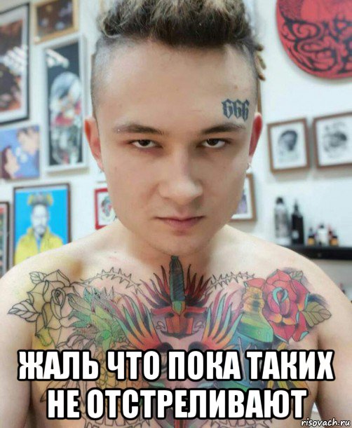  жаль что пока таких не отстреливают, Мем Алишер