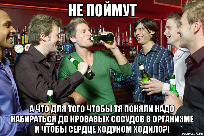 не поймут а что для того чтобы тя поняли надо набираться до кровавых сосудов в организме и чтобы сердце ходуном ходило?!
