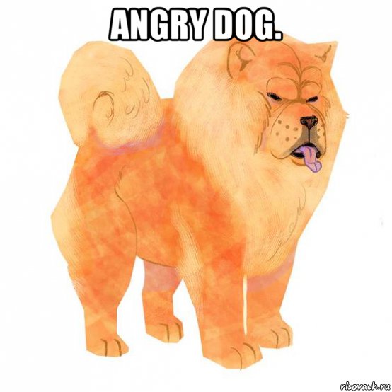 angry dog. , Мем Angry dog
