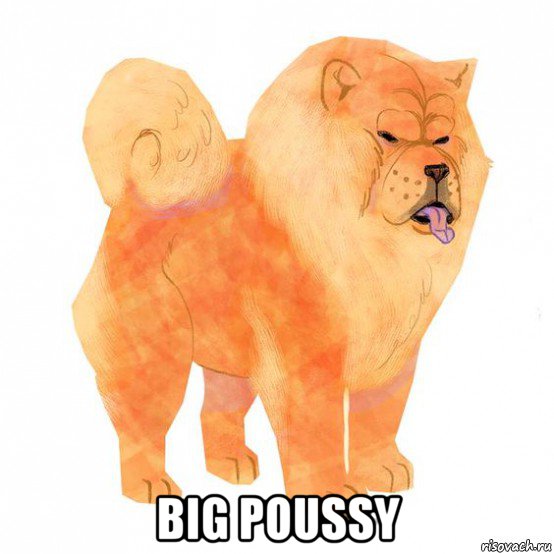  big poussy, Мем Angry dog