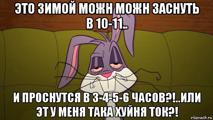 это зимой можн можн заснуть в 10-11.. и проснутся в 3-4-5-6 часов?!..или эт у меня така хуйня ток?!, Мем Багз
