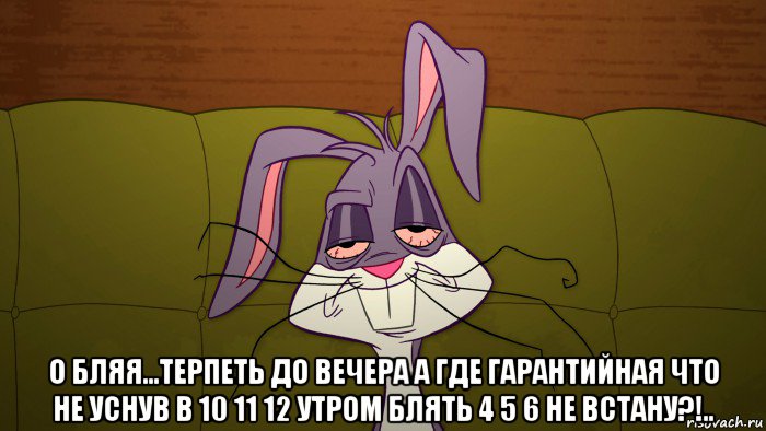  о бляя...терпеть до вечера а где гарантийная что не уснув в 10 11 12 утром блять 4 5 6 не встану?!.., Мем Багз