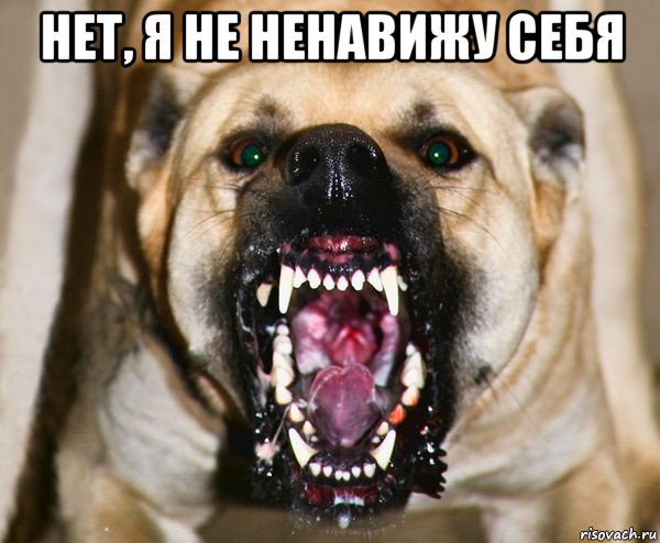 нет, я не ненавижу себя , Мем бешеная собака