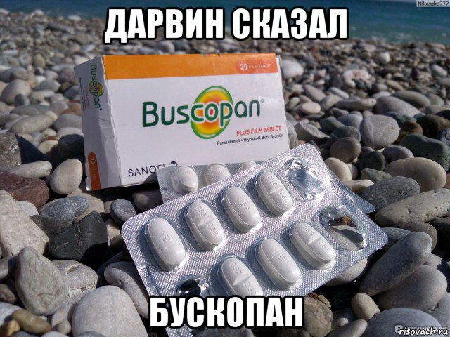 дарвин сказал бускопан, Мем Бускопан