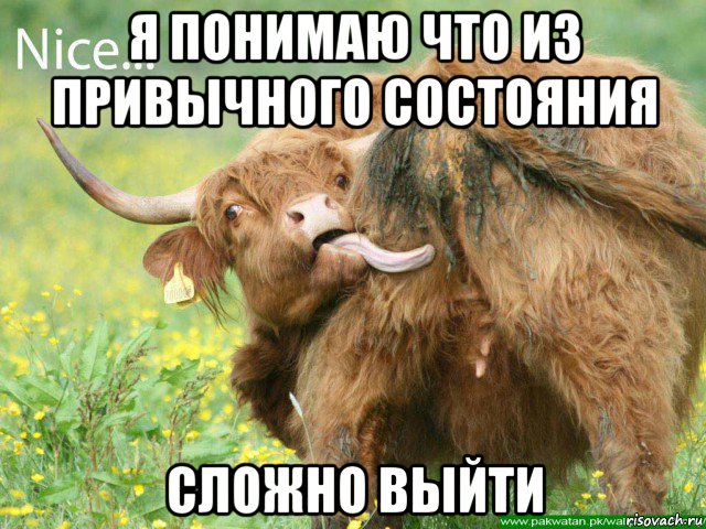 я понимаю что из привычного состояния сложно выйти