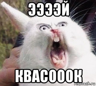 ээээй квасооок, Мем Crazy Rabbit