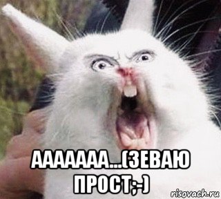  ааааааа...(зеваю прост;-), Мем Crazy Rabbit