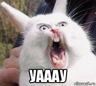  уааау, Мем Crazy Rabbit