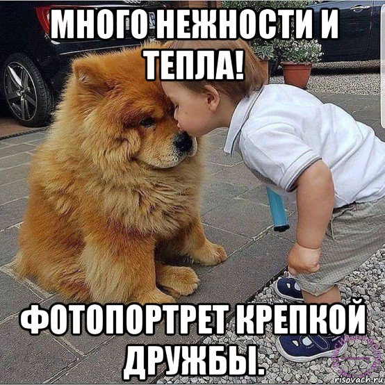 много нежности и тепла! фотопортрет крепкой дружбы., Мем Давайте делать друг другу маленькие добрости