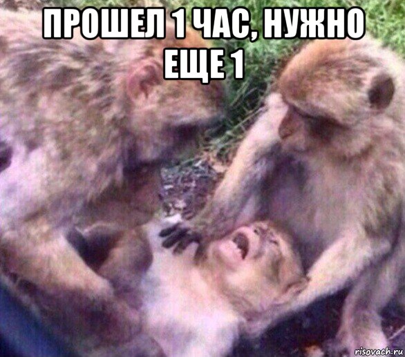 прошел 1 час, нужно еще 1 
