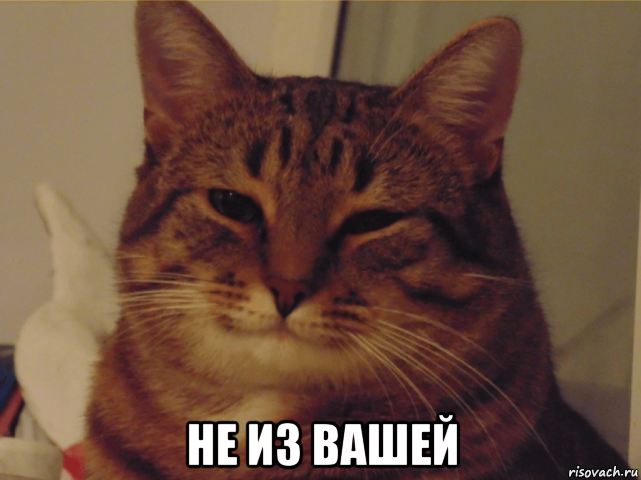  не из вашей
