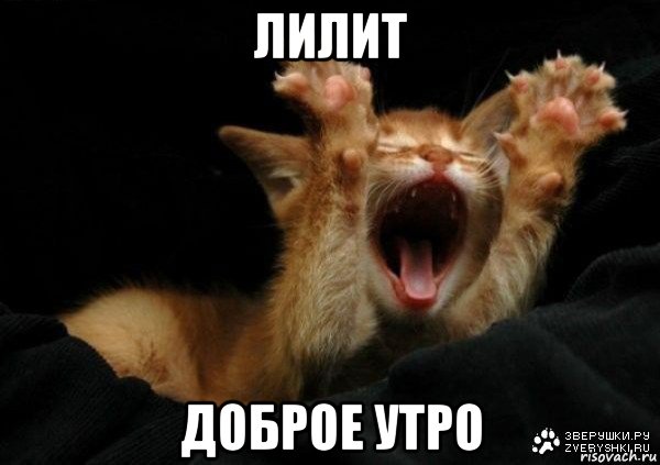лилит доброе утро