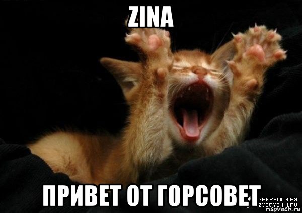 zina привет от горсовет