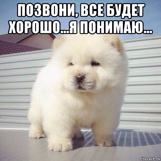 позвони, все будет хорошо...я понимаю... , Мем Доза умиления