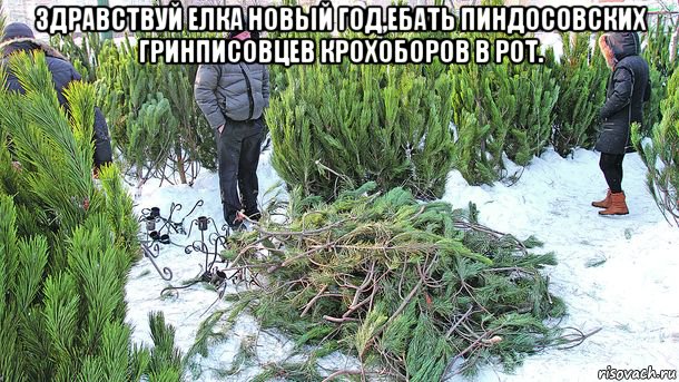 здравствуй елка новый год,ебать пиндосовских гринписовцев крохоборов в рот. , Мем Елка Новый Год