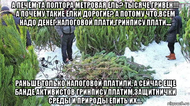 а печем та полтора метровая ель? тысяче гривен!!! а почему такие ёлки дорогие? а потому что,всем надо денег.налоговой плати,гринпису плати.... раньше только налоговой платили, а сейчас еще банде активистов гринпису платим,защитнички среды и природы епить их...., Мем Елка Новый Год