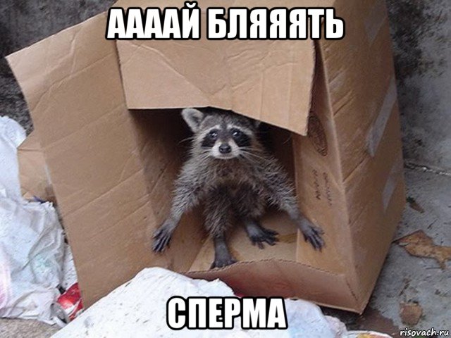 аааай бляяять сперма