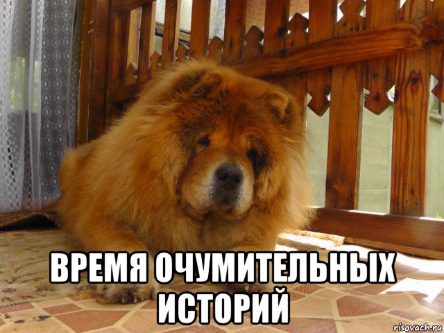  время очумительных историй, Мем Это кто к нам пришёл