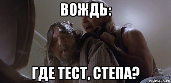 вождь: где тест, степа?