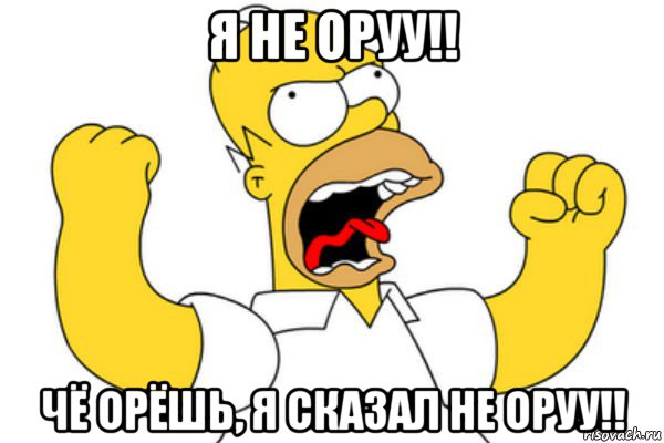 я не оруу!! чё орёшь, я сказал не оруу!!, Мем Разъяренный Гомер