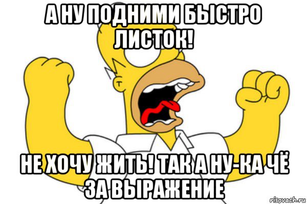 а ну подними быстро листок! не хочу жить! так а ну-ка чё за выражение, Мем Разъяренный Гомер