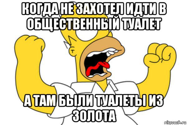 когда не захотел идти в общественный туалет а там были туалеты из золота, Мем Разъяренный Гомер