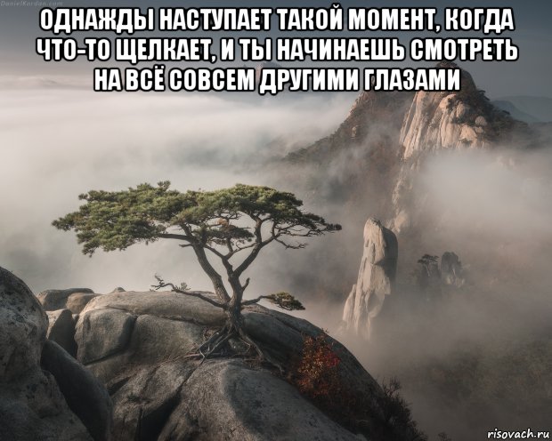 однажды наступает такой момент, когда что-то щелкает, и ты начинаешь смотреть на всё совсем другими глазами , Мем Горащщ