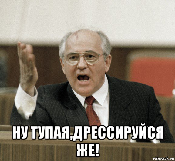  ну тупая,дрессируйся же!, Мем Горби