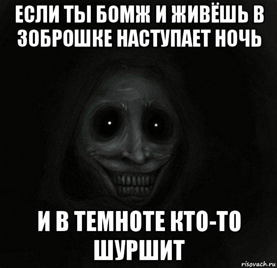 если ты бомж и живёшь в зоброшке наступает ночь и в темноте кто-то шуршит, Мем Ночной гость